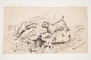 Penguins at Cape Foulwind by Charles Heaphy